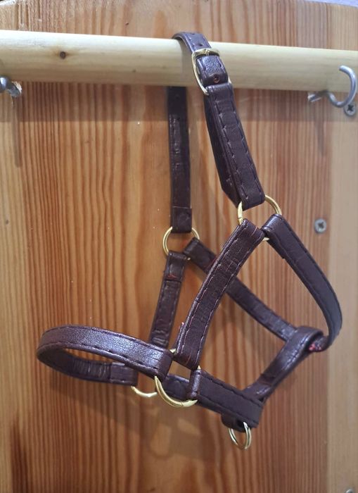 Kantar skórzany dla Hobby horse A4