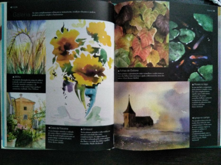 Oficina de aguarela. Passo a passo até o sucesso.