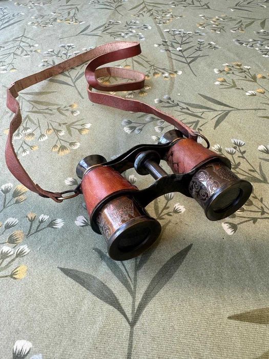 Binóculos Clássicos Vermelhos