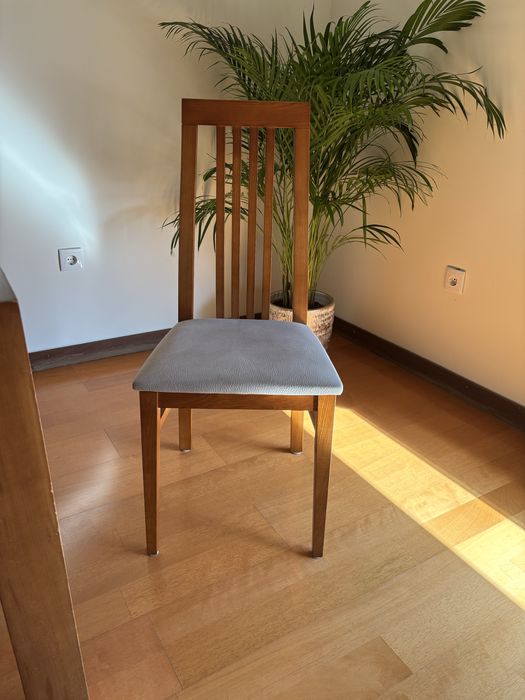 Mesa sala e 6 cadeiras