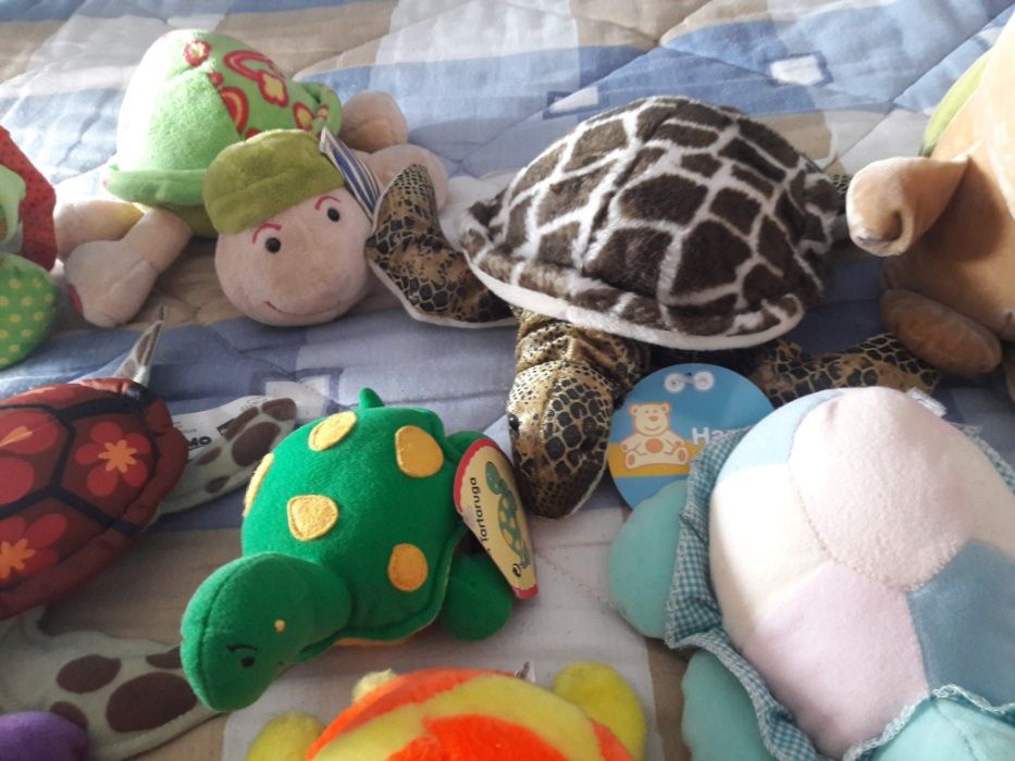Turtle Plush Toys426482552401438722