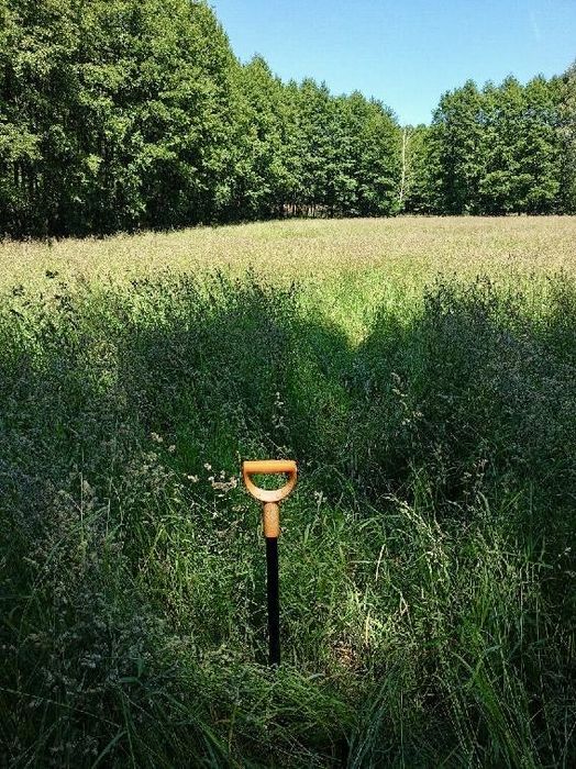 Działka z kawałkiem lasu, oaza spokoju zaledwie 25 km od Poznania