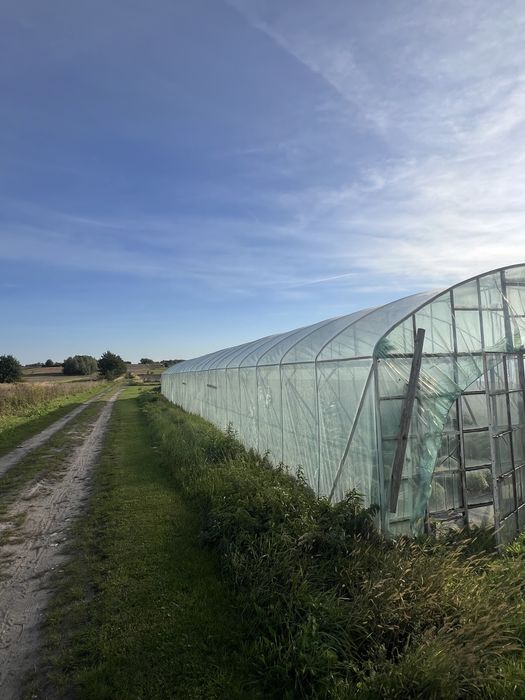 Tunel foliowy  6x30 m