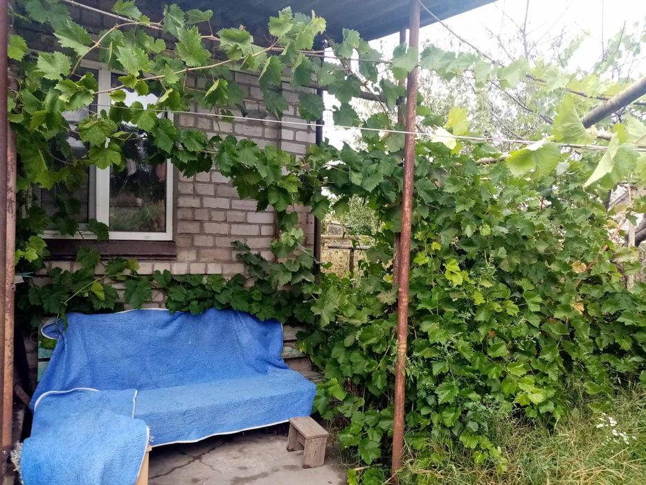 Сдаю дом с летней кухней