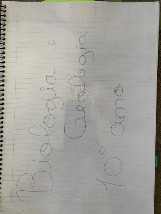 Livros de preparação exame Biologia e Geologia