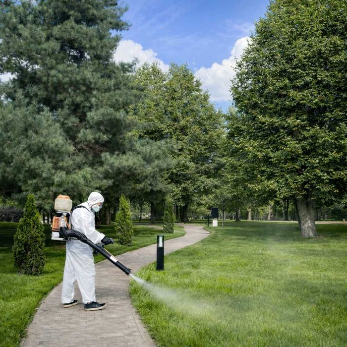 Дезінфекція • Дезінсекція • Дератизація • Озонування Професійно