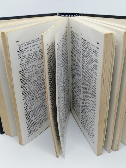 Dicionário do Estudante Inglês-português da Porto editora bom estado