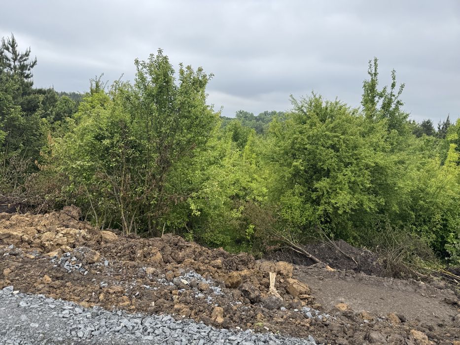 Продаж земельноі Ділянки 30 соток Епіцентр Ружична