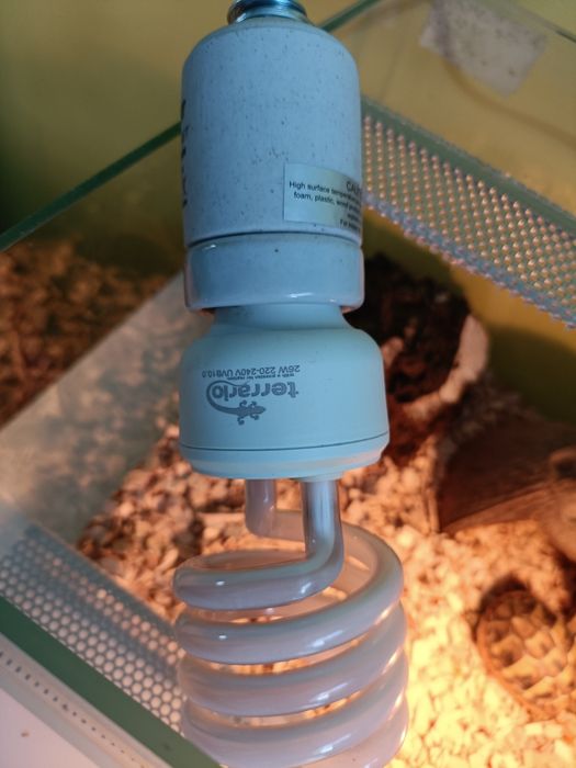 Terrarium małe dla żółwia /gada