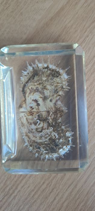 Продам  фото альбомы и рамка.