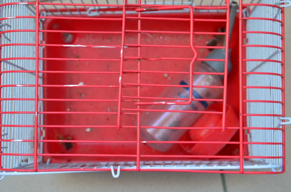 Принадлежности для хомяка