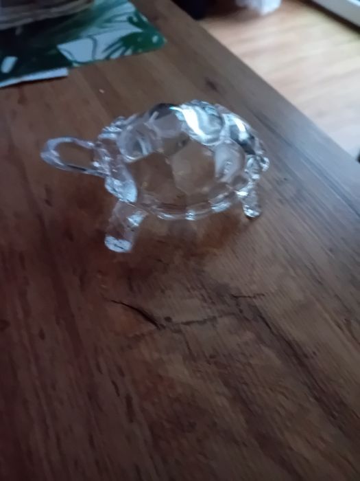 Żułw szklany dla kolekcjonera