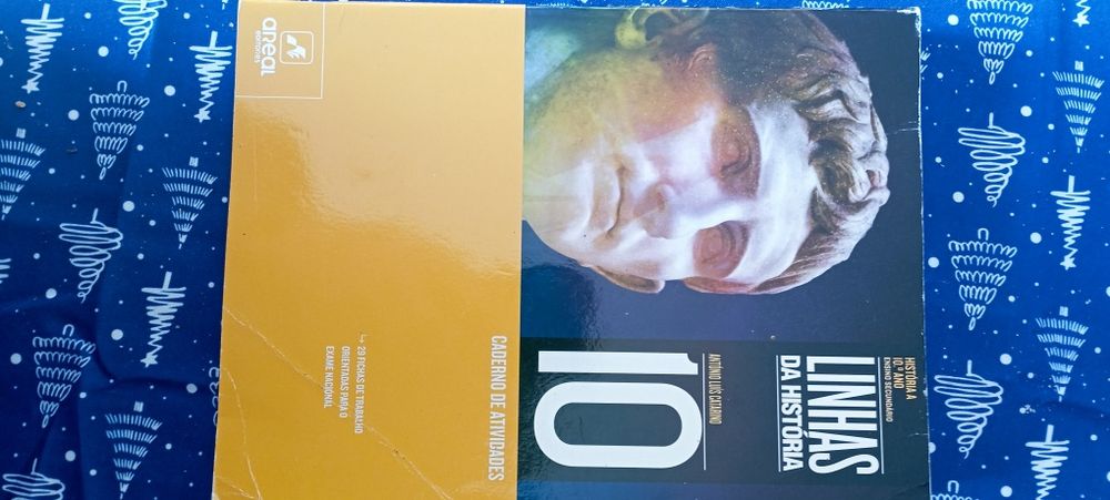 10°ano História  Linhas da história