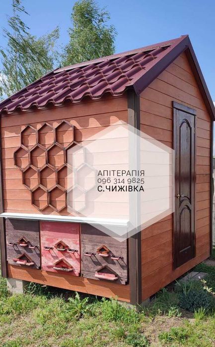 Апітерапія
Сон на вуликах
Сон на бджолах