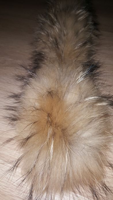 Мех енота натуральный 75 см новый