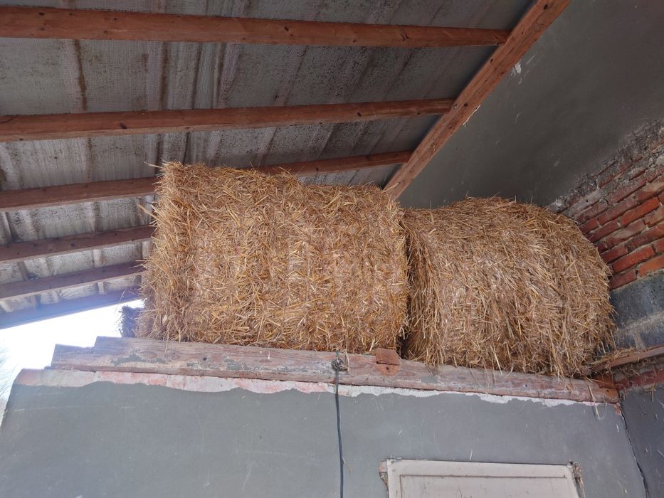 Słoma bele po prasie pasowej