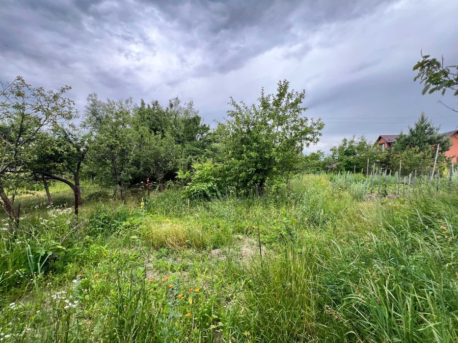 Дачний будинок в Буках