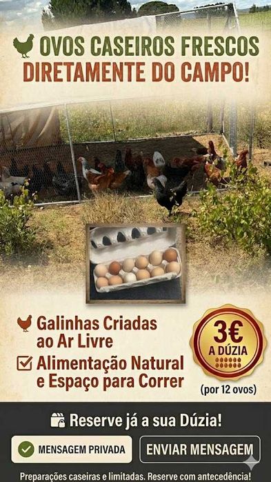 Ovos de Galinha criadas ao ar livre