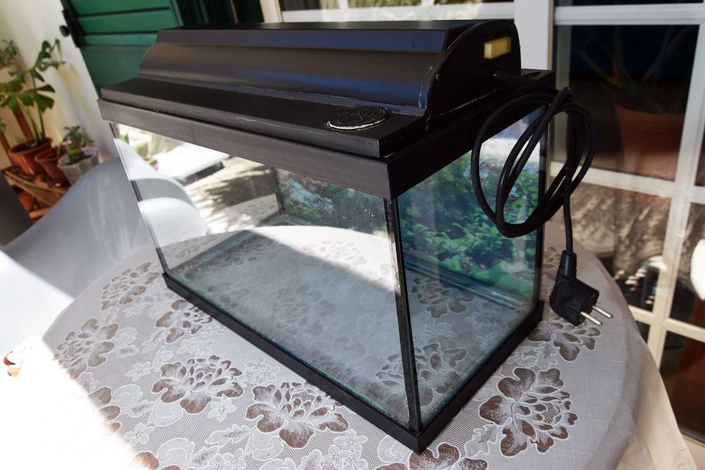 Aquário com lâmpada 42cm