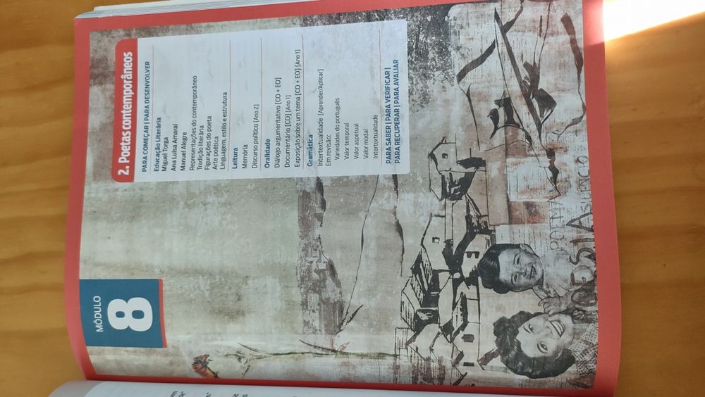 Novos Percursos Profissionais