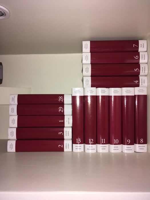 Dicionario como novo