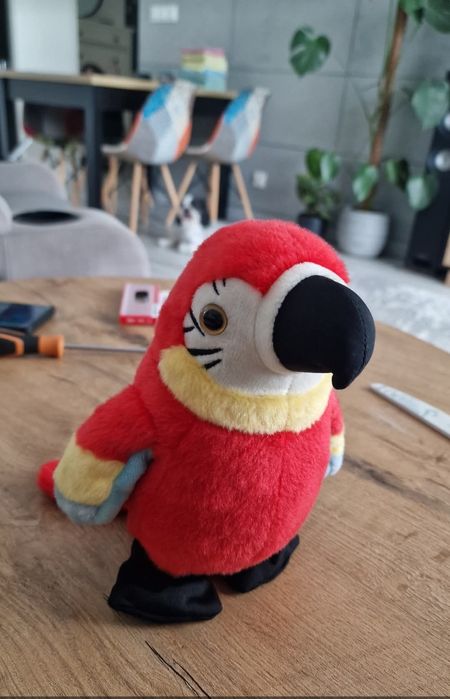 Papuga interaktywna ze Smyka