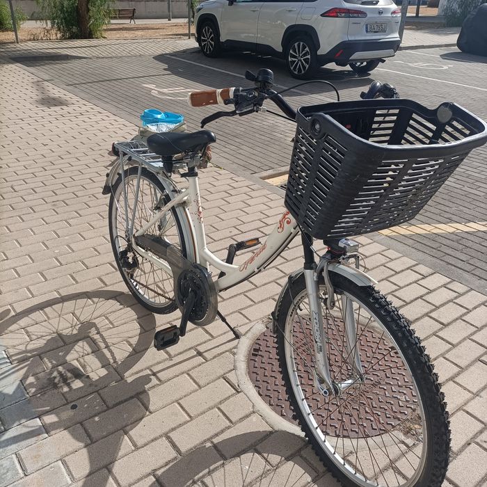 Vendo Bicicleta modelo Pasteleira