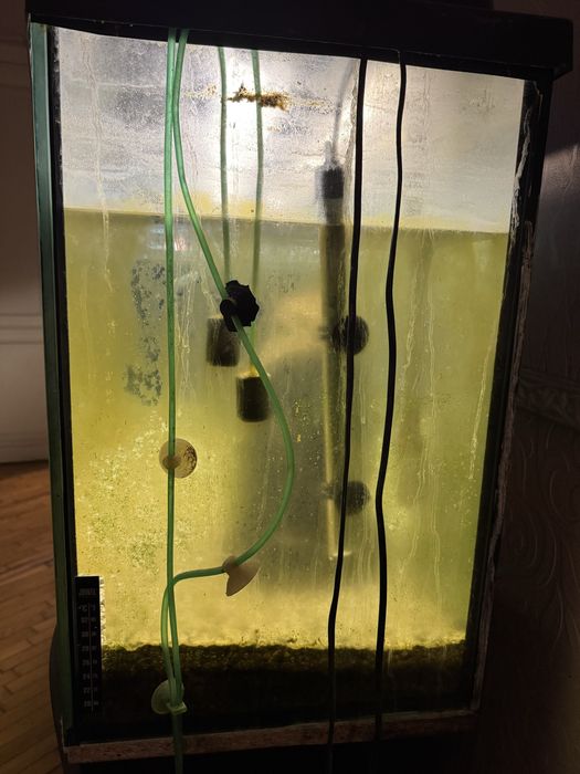 Акваріум доя рибок