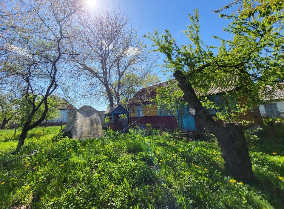 Продам будинок в селі Другий Гориньград