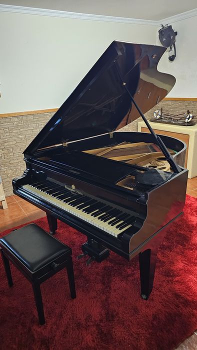 Piano de Cauda Steingraeber & Söhne