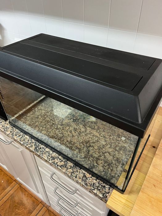 Aquário pra peixes ou tartarugas