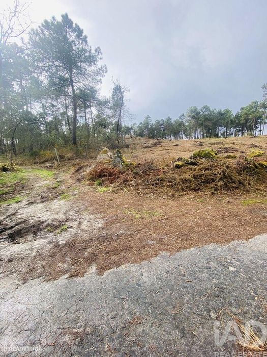 Terreno para construção em Mouçós e Lamares de 3484,00 m2