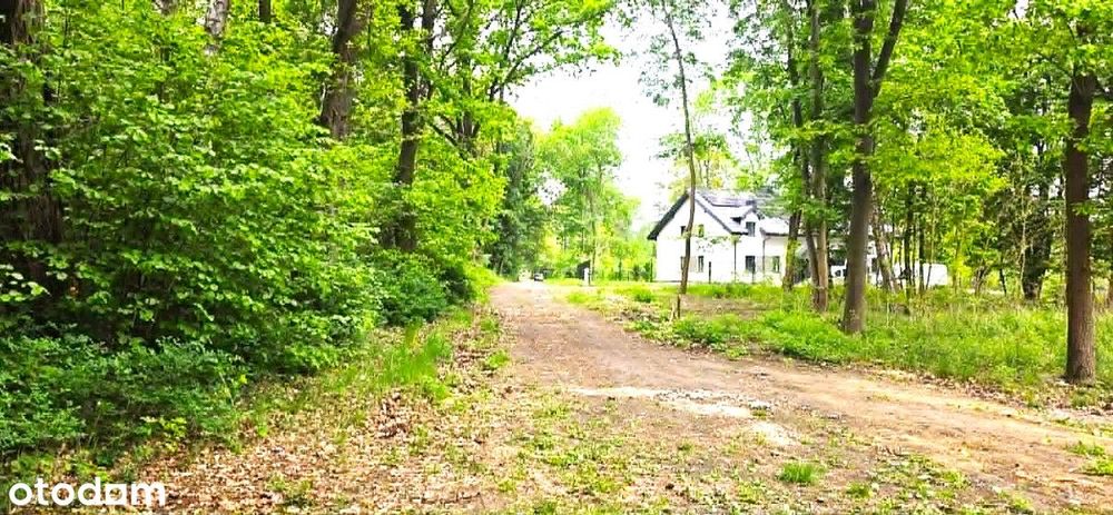 Piękna działka pod lasem Szczęsne - Widok 2