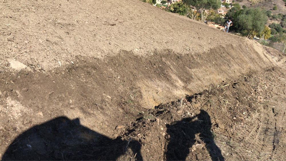 Limpeza de terreno