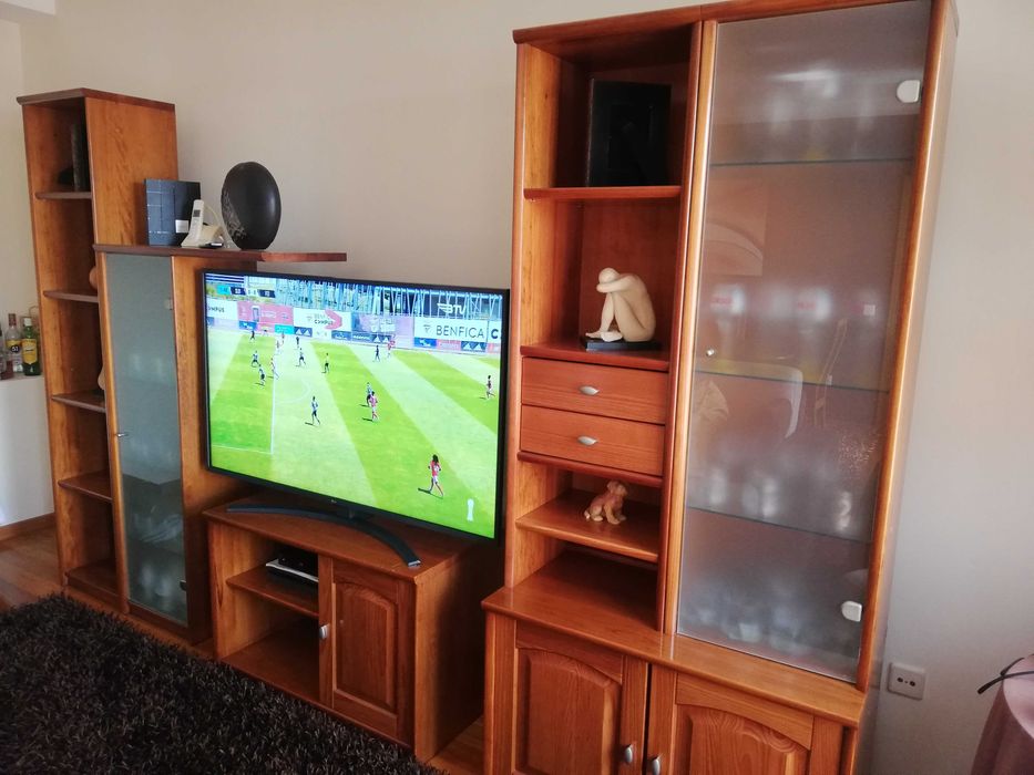 Móvel/estante de sala