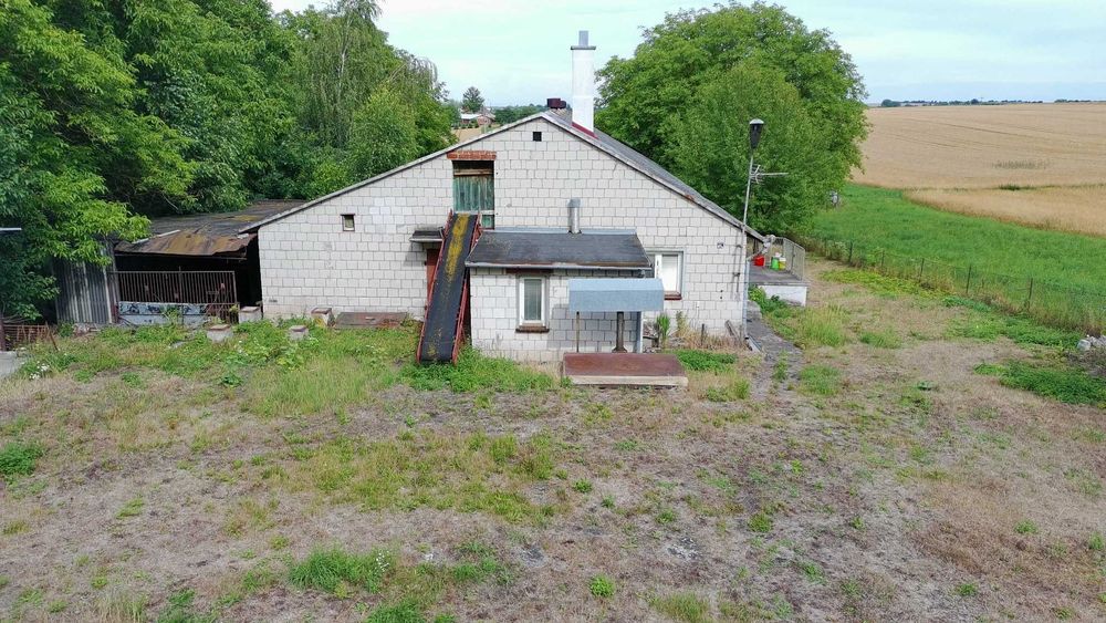 Budynek gospodarczy 1000 m² | działka 32,51 ar | Roźwienica
