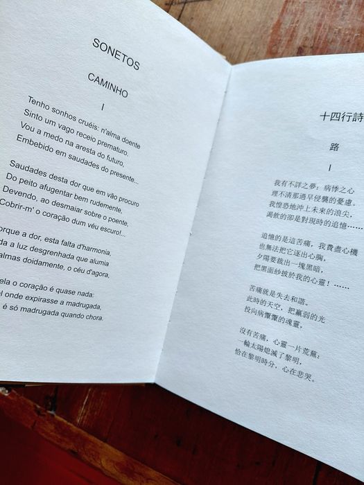 Clepsidra de Camilo Pessanha