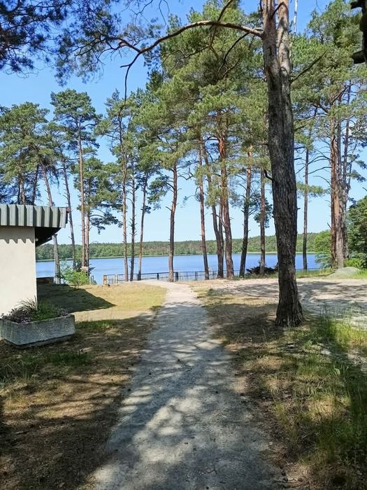 Domki letniskowe 4 osobowe  w lesie nad jeziorem Borek