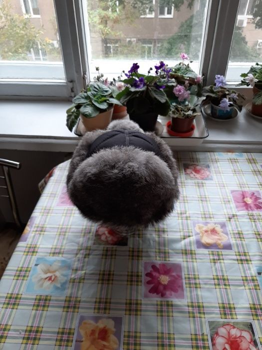 Шапка из кролика женская 58го размера