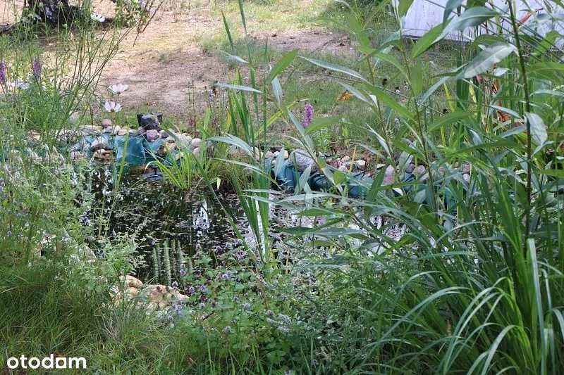 1000 m² przy ul. Dębowej — działka z prądem, wodą i domkiem - sprzedaż bez pośredników