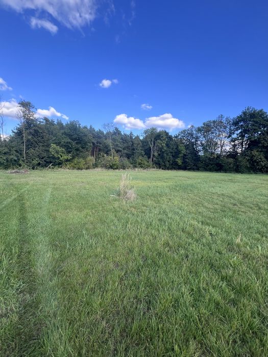 Dzialka przy lesie, obok Trzebnicy