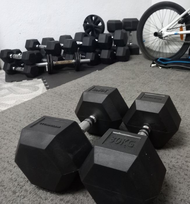 Halteres Titanim438130256401541120