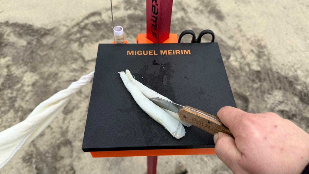 Suporte/tabuleiro com tampa para iscos e acessórios de pesca