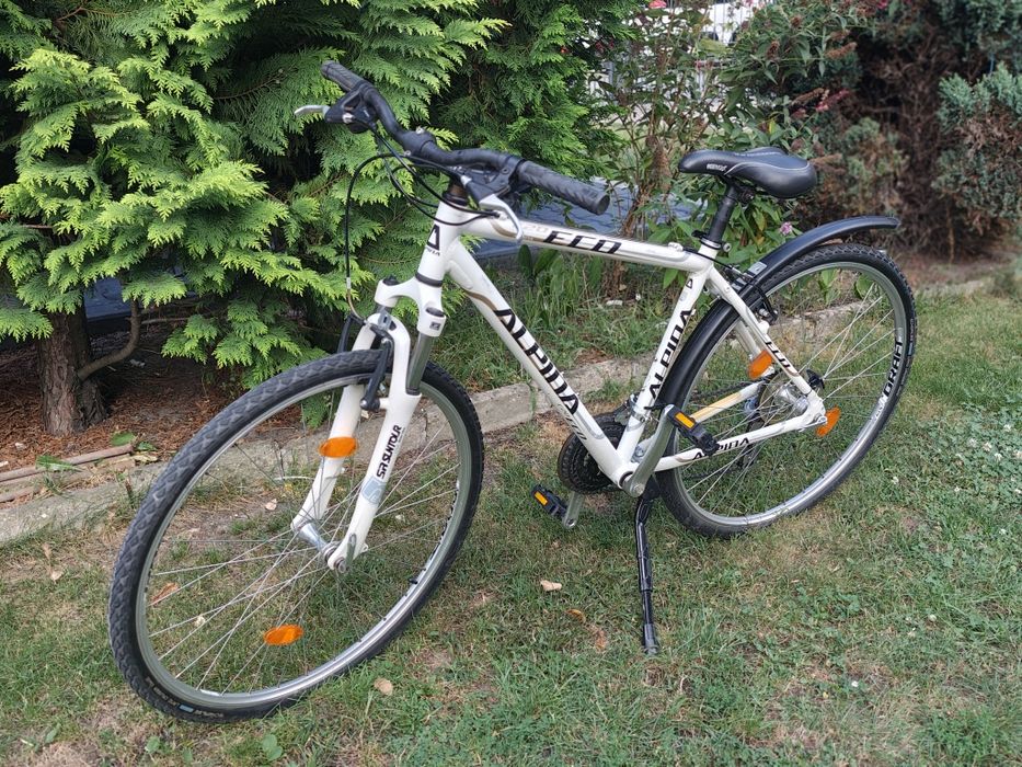 Rower crossowy Alpina
