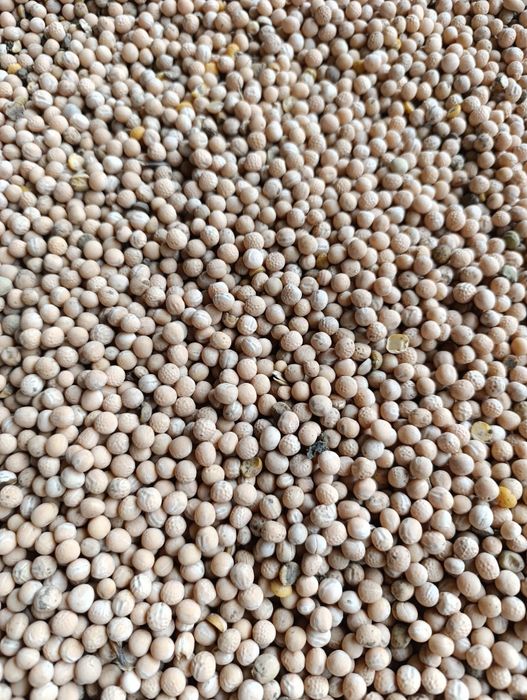 Groch, groszek, peluszka, pokarm dla ptaków 20 kg