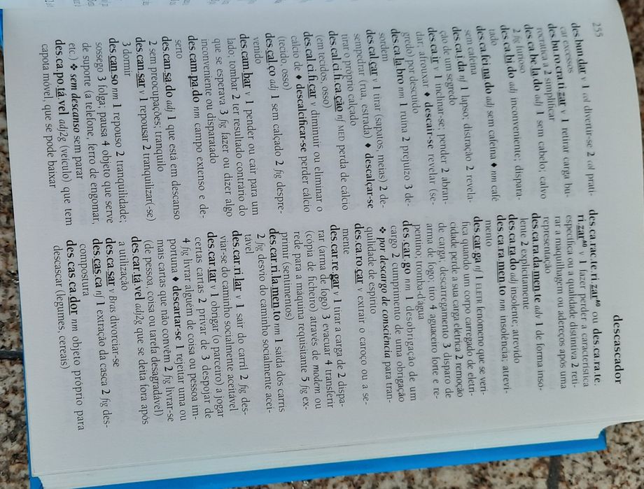 Mini dicionario escolar