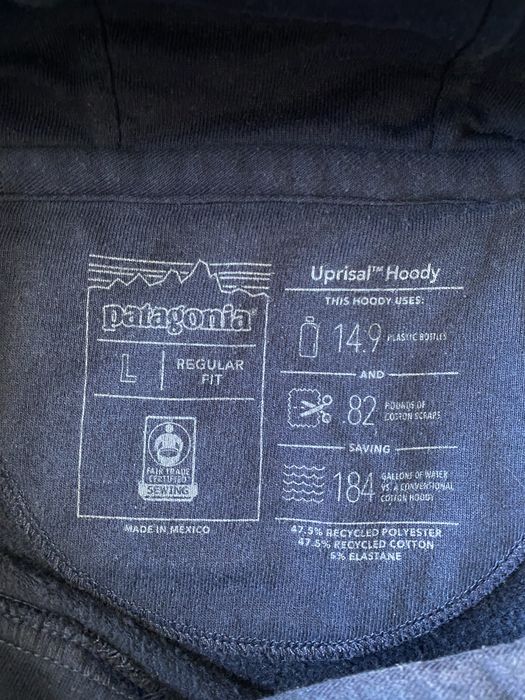 Худі Patagonia Fitz Roy Bear