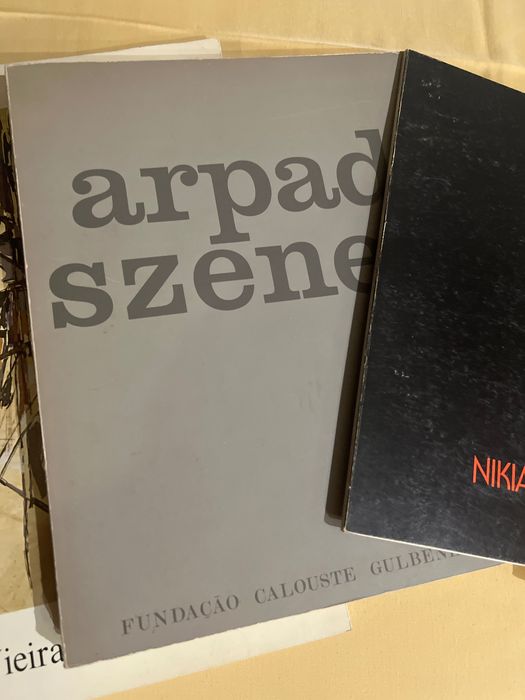 Livros cargaleiro,Vieira Silva