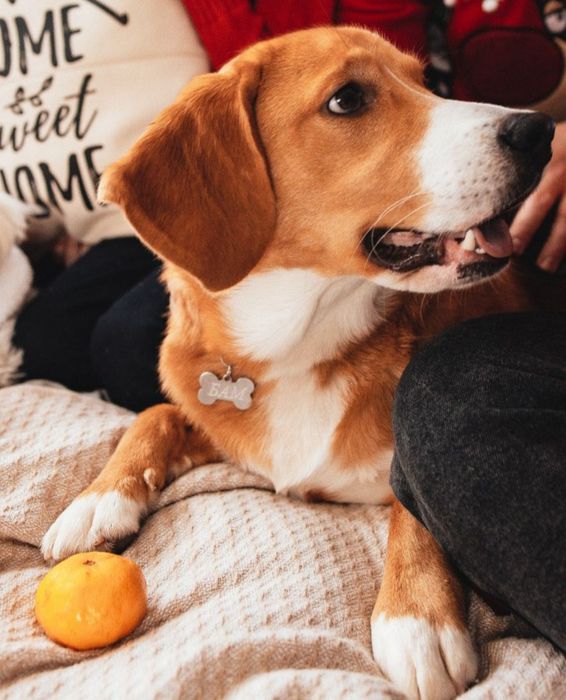 Кабель молодий В'язка