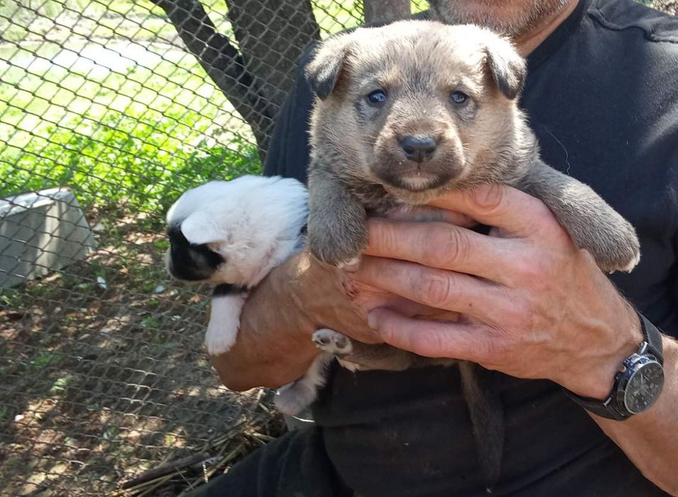 Бесплатно классные малышки